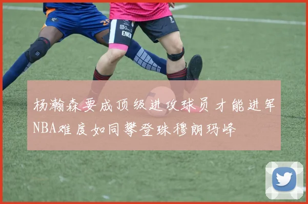 杨瀚森要成顶级进攻球员才能进军NBA难度如同攀登珠穆朗玛峰