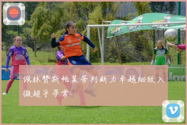 佩林赞斯帕莱蒂判断力卓越细致入微超乎寻常