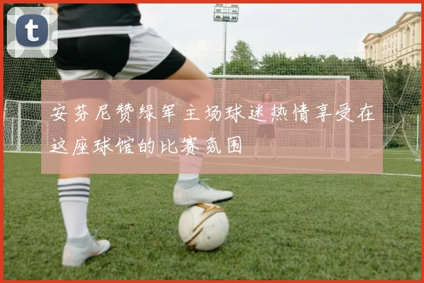 安芬尼赞绿军主场球迷热情享受在这座球馆的比赛氛围