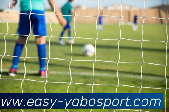 亚博体育平台生态图